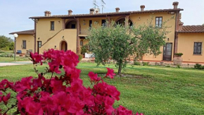il Chiassetto Agriturismo No Kids Cascina